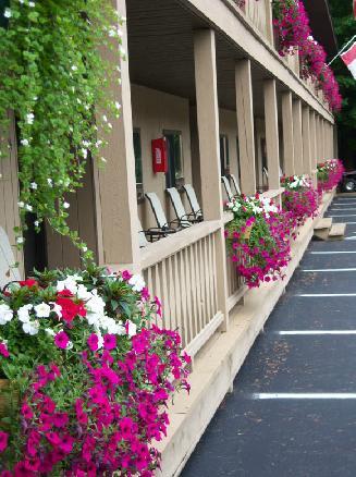 Tall Pines Motel Lake George Esterno foto