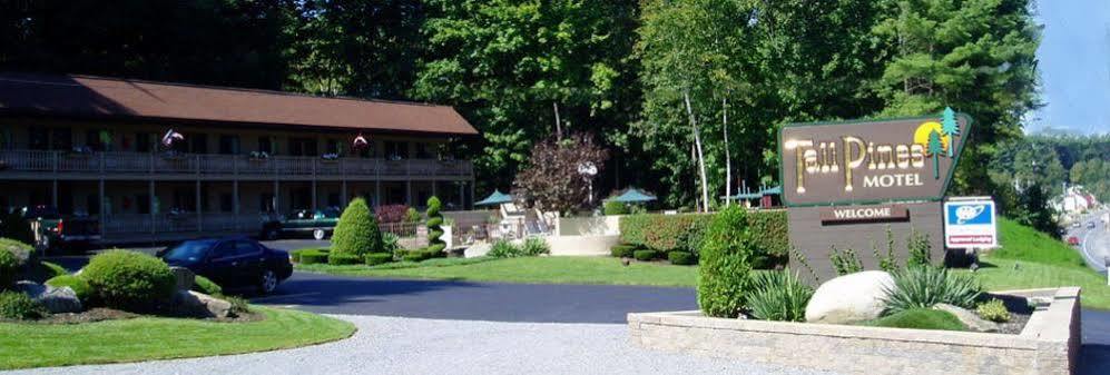 Tall Pines Motel Lake George Esterno foto